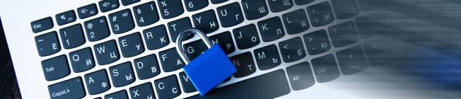 Consultoría de seguridad de la información en México